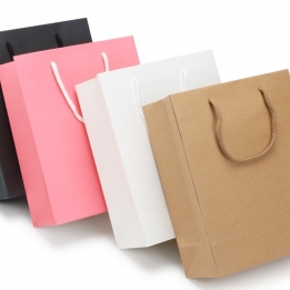 Shopping Paper Bag