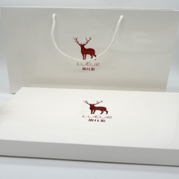 Kraft Paper Bag Gift