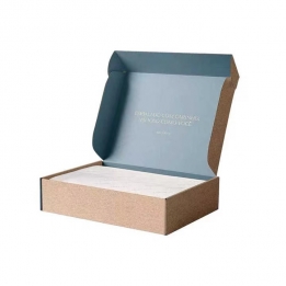Mailer Box Airplane Box
